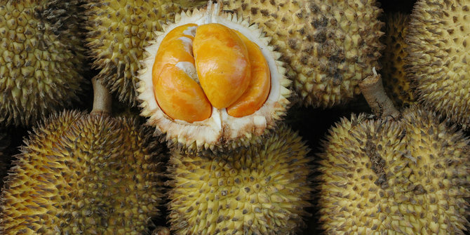 durian-durian
