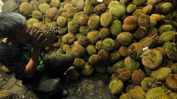 durian-enak-medan-780x390