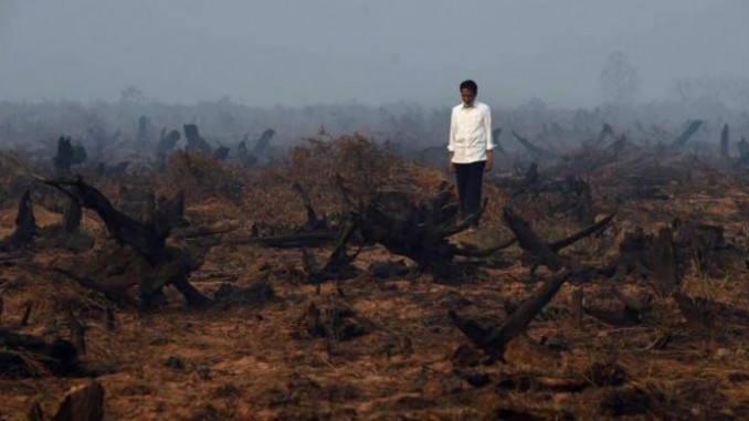 2035558JokowiKebakaranHutan201443187899-preview780x390 (1)