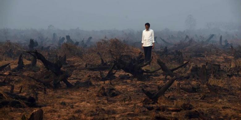 2035558JokowiKebakaranHutan201443187899-preview780x390 (1)